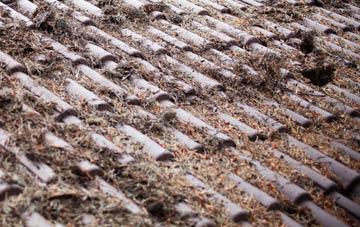 Dunston Hill roof cleaning companies