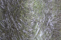 Dunston Hill fibreglass roof work